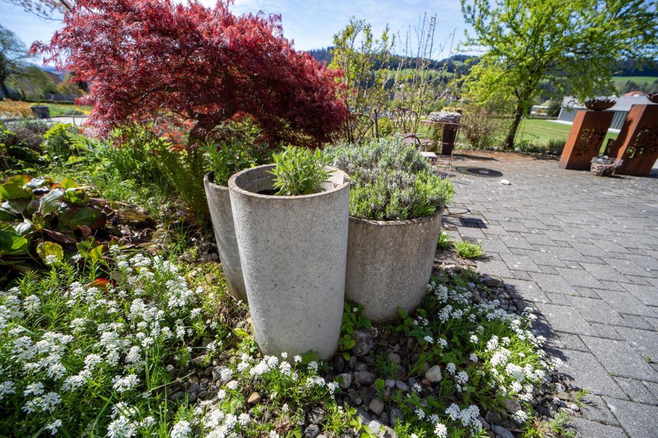 Studio Living... Langnau Exterior photo